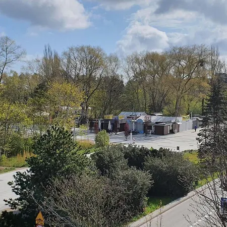 Merry فيلة سفينويتشي