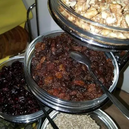 Merry فيلة سفينويتشي